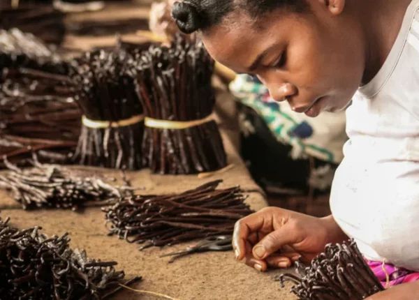 Vanilla Beans Grade A – Organic Premium Vanilla Pods for Baking & Flavoring