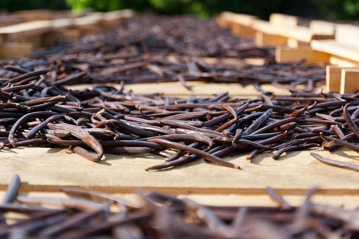 Vanilla Beans Grade A – Organic Premium Vanilla Pods for Baking & Flavoring