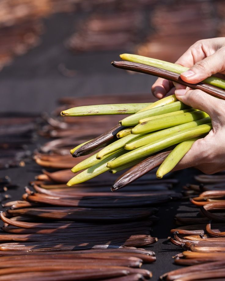 Vanilla Beans Grade A – Organic Premium Vanilla Pods for Baking & Flavoring