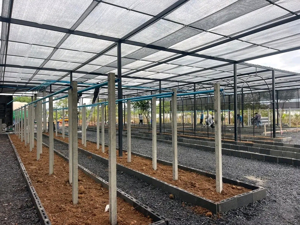 Free Vanilla Farming Consultancy Service – Expert Guidance for Growers