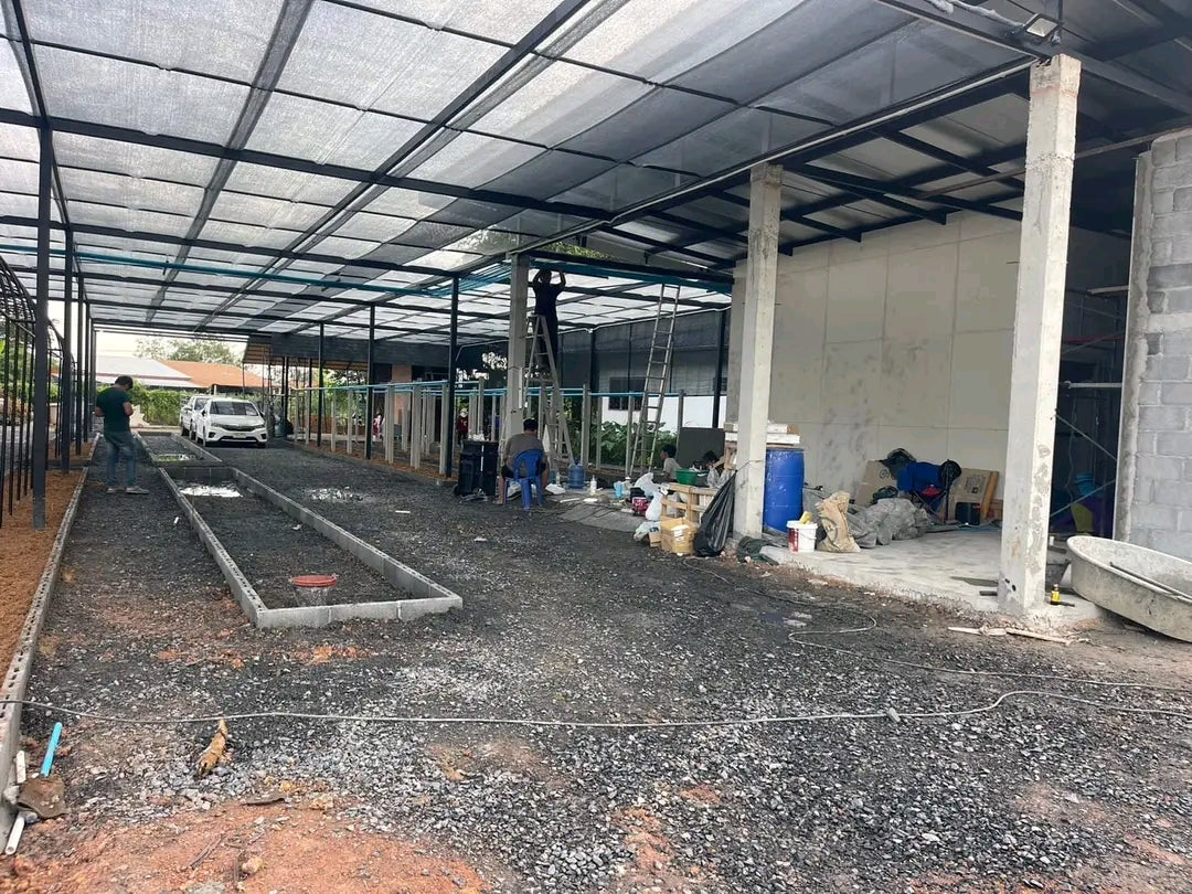 Free Vanilla Farming Consultancy Service – Expert Guidance for Growers