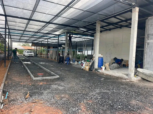 Free Vanilla Farming Consultancy Service – Expert Guidance for Growers