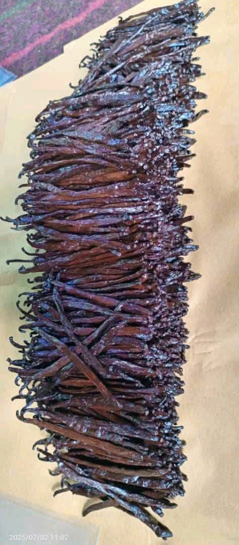 Premium Ugandan Vanilla Beans – Grade A Gourmet Pods