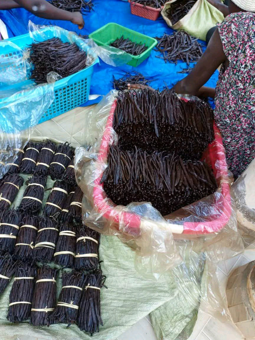 Premium Ugandan Vanilla Beans – Grade A Gourmet Pods