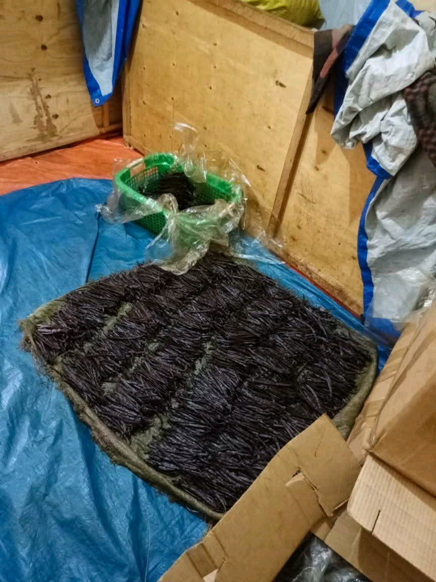 Premium Ugandan Vanilla Beans – Grade A Gourmet Pods