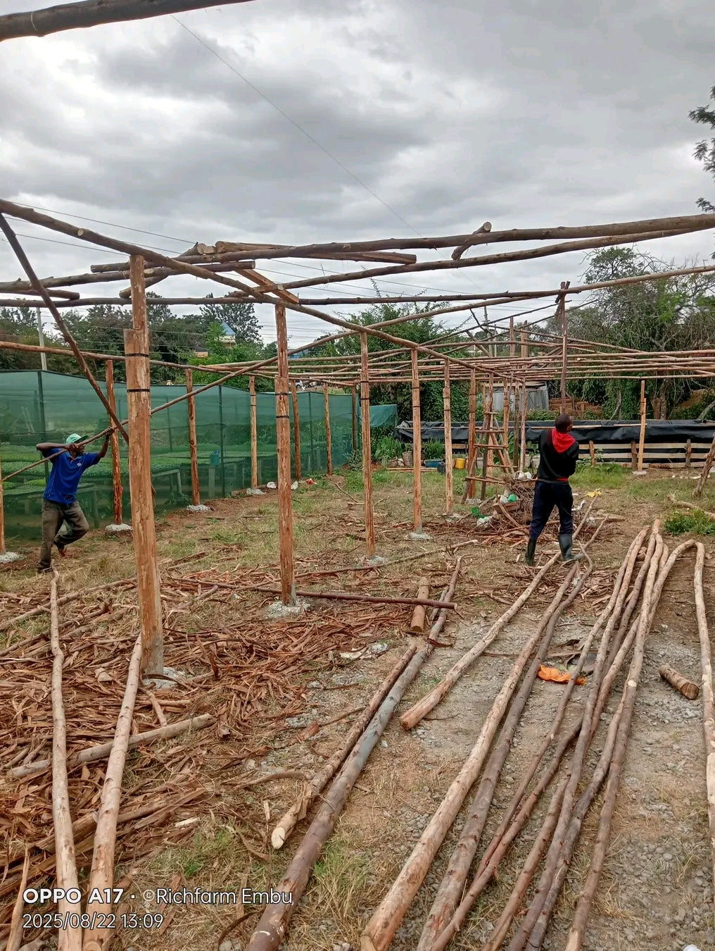 Free Vanilla Farming Consultancy Service – Expert Guidance for Growers