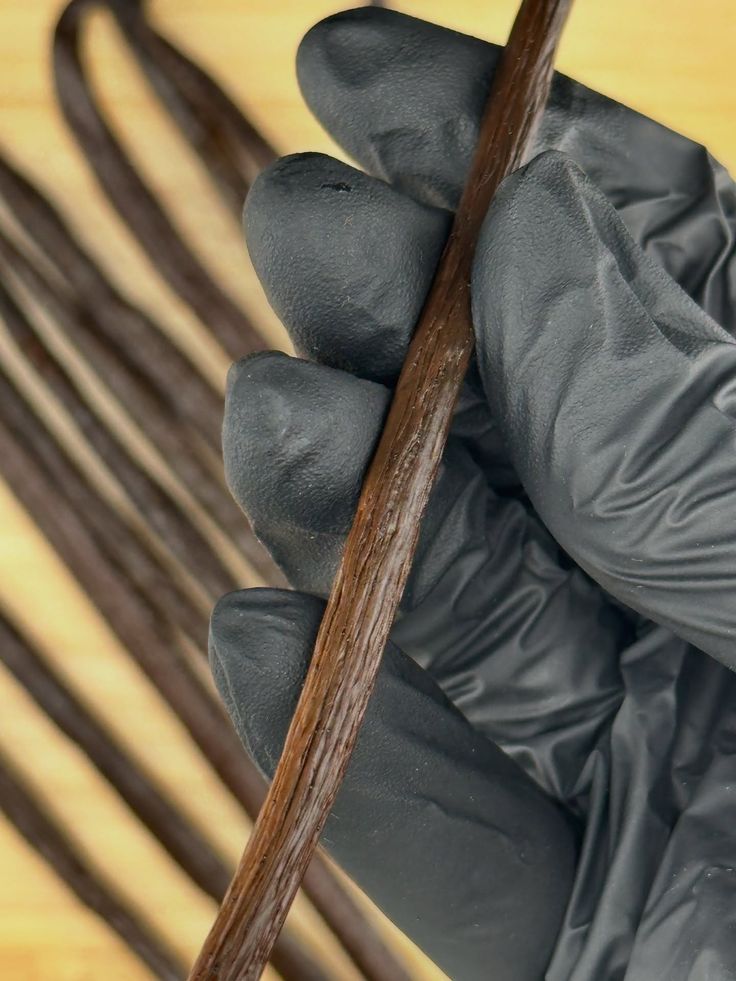 Vanilla Beans Grade A – Organic Premium Vanilla Pods for Baking & Flavoring