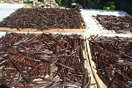 Vanilla Beans Grade A – Organic Premium Vanilla Pods for Baking & Flavoring