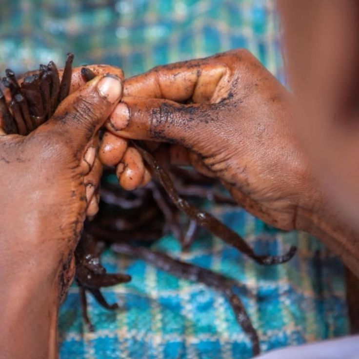 Vanilla Beans Grade A – Organic Premium Vanilla Pods for Baking & Flavoring